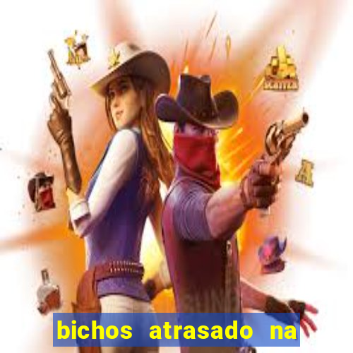 bichos atrasado na loteria dos sonhos